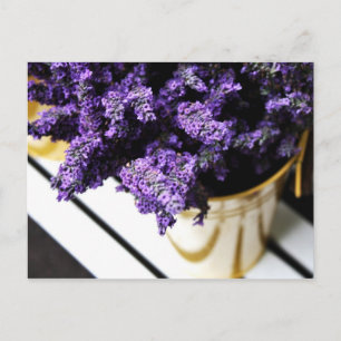 'Lavender' Postcard
