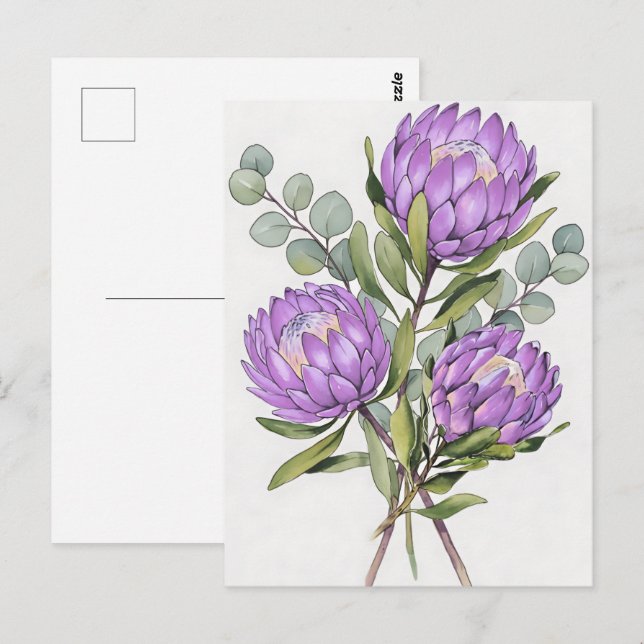 Lavender Protea Botanical Watercolor Postcard (Front/Back)