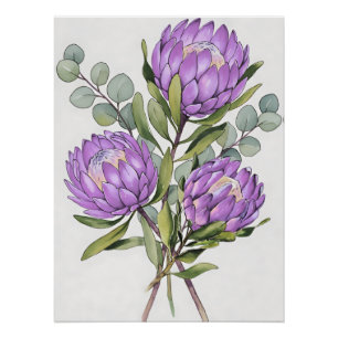 Lavender Protea Botanical Watercolor Poster