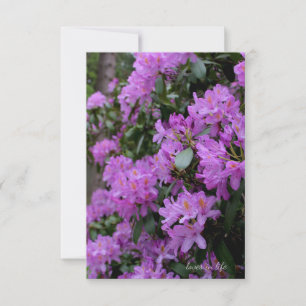 Lavender Rhododendron  Card