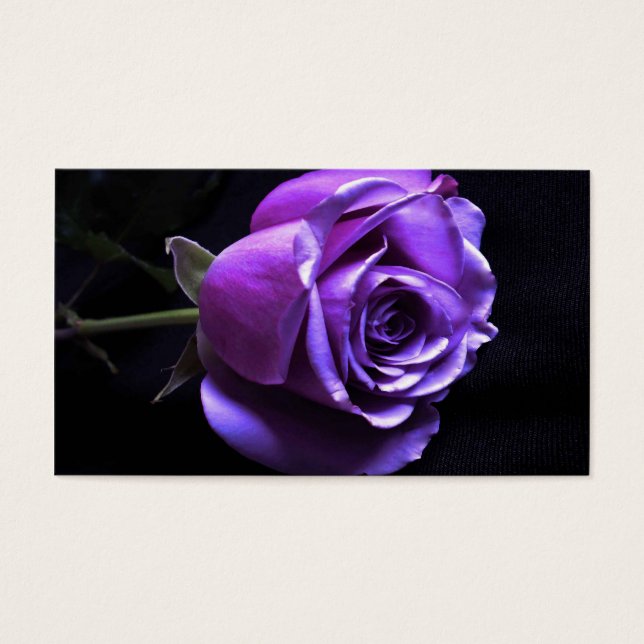 lavender rose (Front)