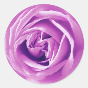 Lavender rose print classic round sticker