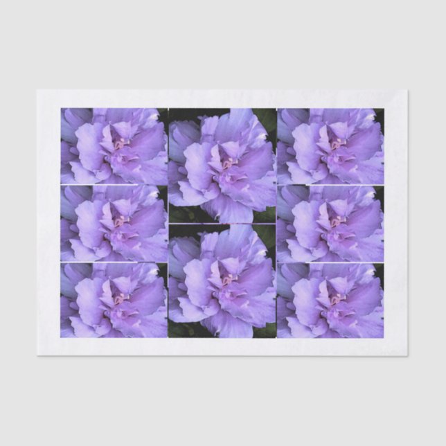 Lavender Rose Sharon Multi images Tissue Paper (Front)