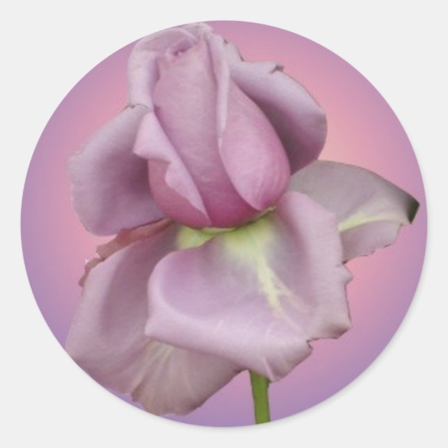 Lavender rose sticker (Front)