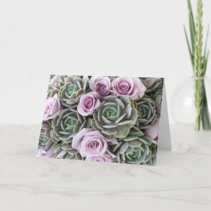 Lavender roses and echeverias card