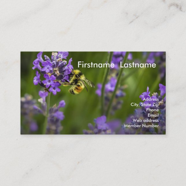 Lavender Row Business Card (Front)