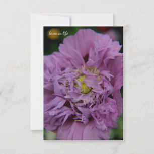 Lavender Ruffly Poppy Card