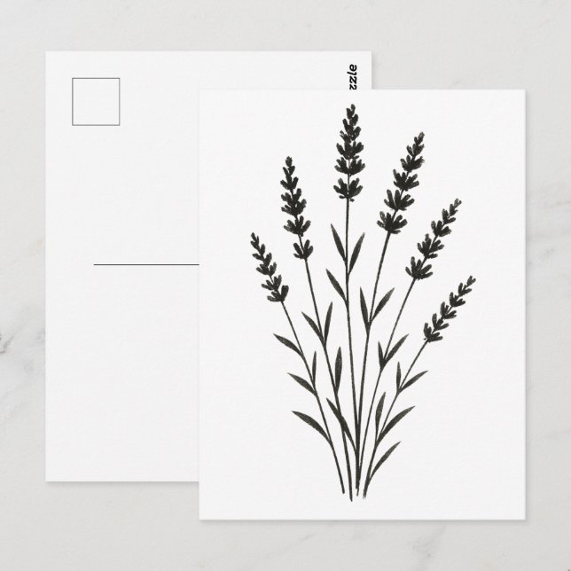 Lavender Sprigs – Minimalist Botanical Design on Postcard (Front/Back)