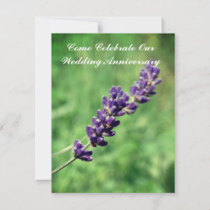 Lavender stalk Wedding Anniversary Invitations