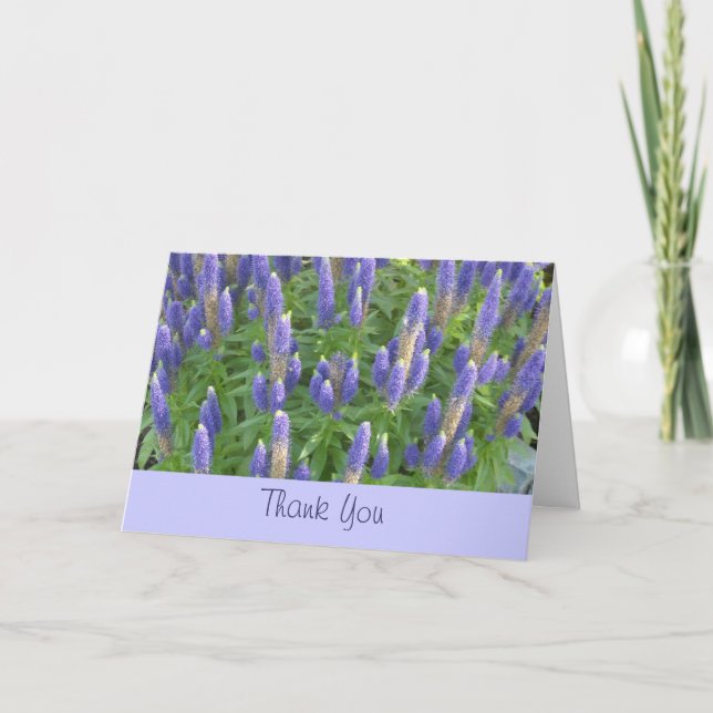 Lavender Thank You (Front)