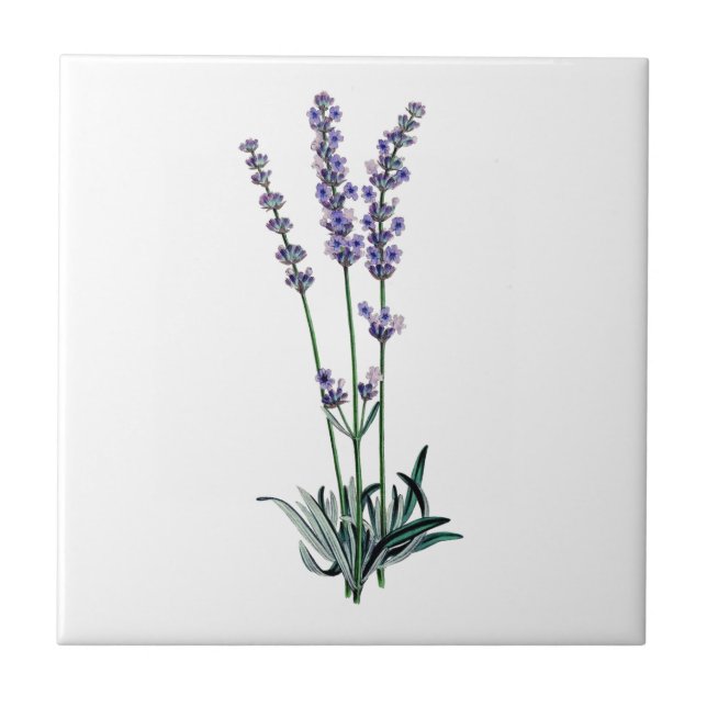 Lavender Tile (Front)