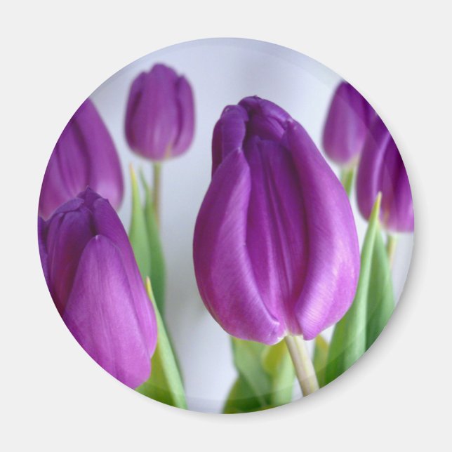 Lavender Tulips Magnet (Front)