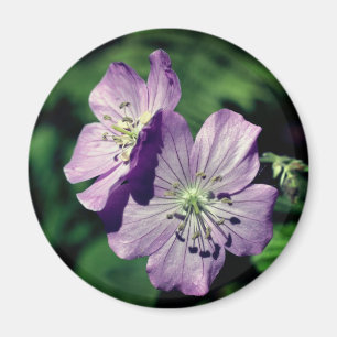 Lavender Twins Geranium Flower Photography Magnet