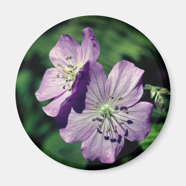 Lavender Twins Geranium Flower Photography  Magnet (Front)
