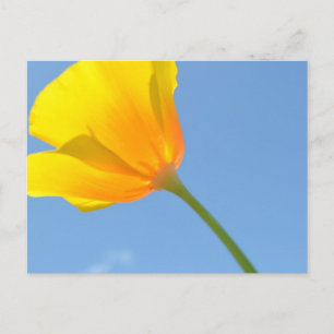 Law of Attraction Postcard