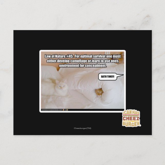 Law of Nature #45 Postcard (Front)