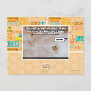 Law of Nature #45 Postcard