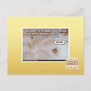 Law of Nature #45 Postcard