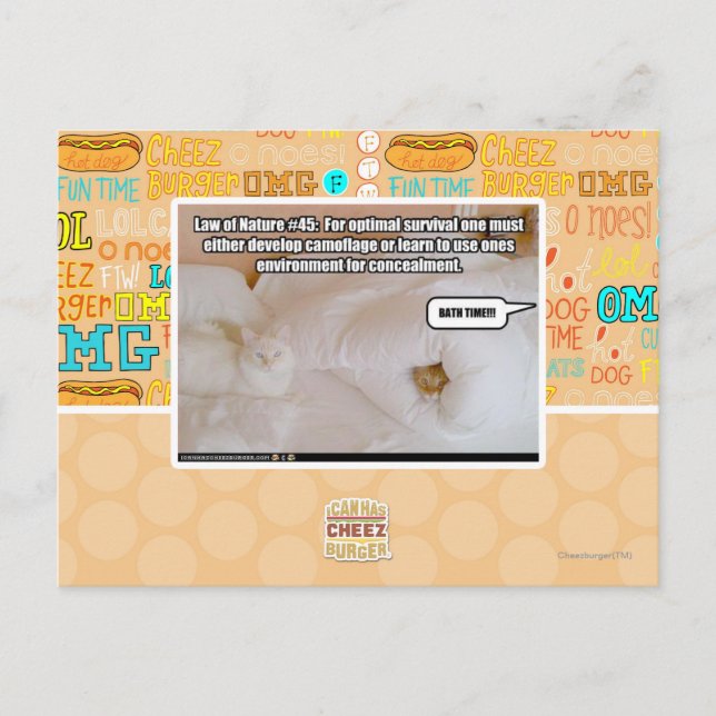 Law of Nature Postcard (Front)