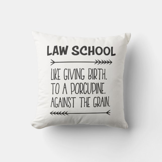 Law School Law Student Lawyer Funny Cushion (Front)