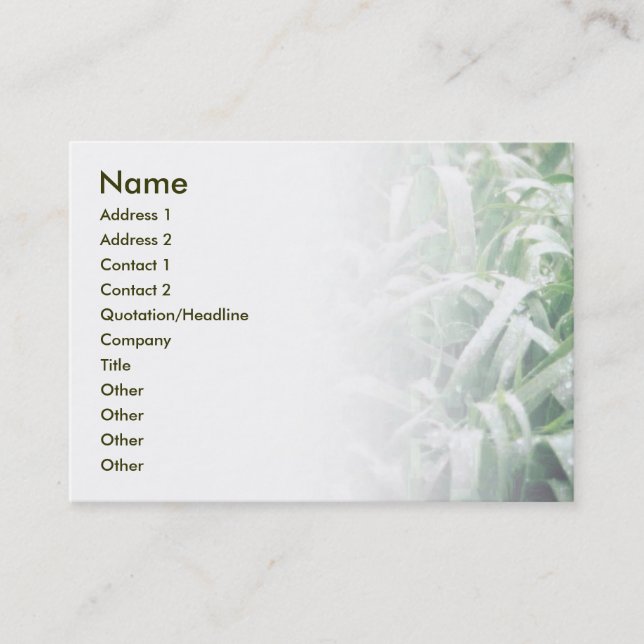 Lawn Business Card (Front)