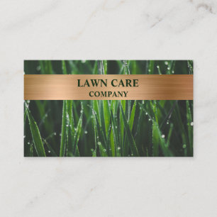Lawn Care Landscape modern professional yard Busin Business Card