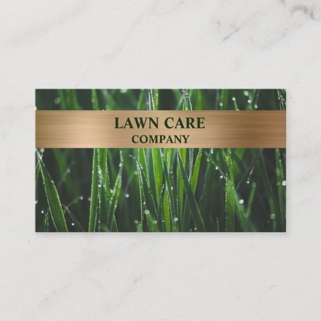 Lawn Care Landscape modern professional yard Busin Business Card (Front)