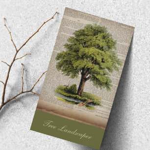 Lawn Care Landscaping Vintage Oak Tree  Business Card