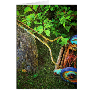 Lawn Mower