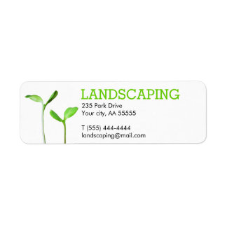Lawncare Landscaping Lawn green sprouts