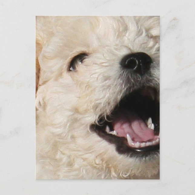 Lawrence Postcard (Front)