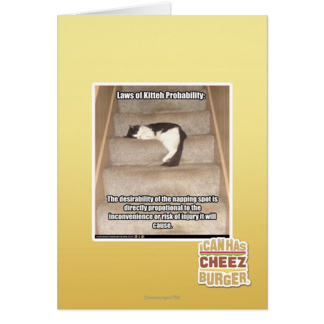 Laws of Kitteh Probability (Front)