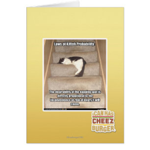 Laws of Kitteh Probability