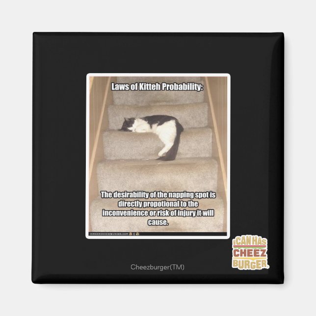Laws of Kitteh Probability Magnet (Front)