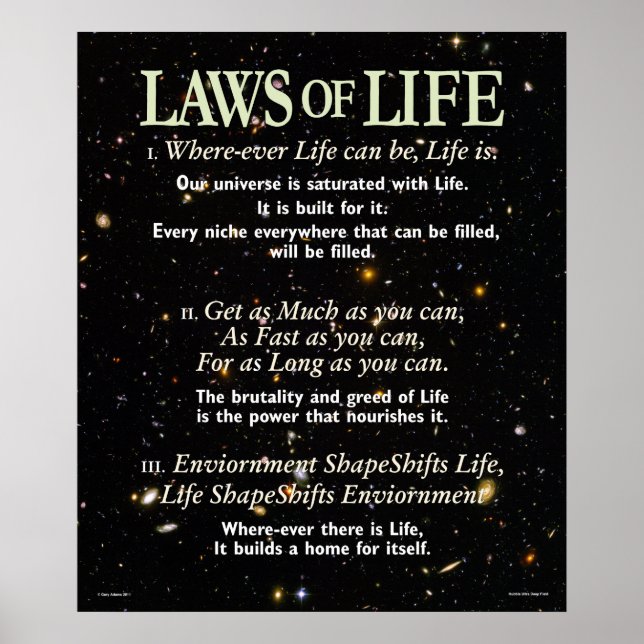 Laws of Life Poster (Front)