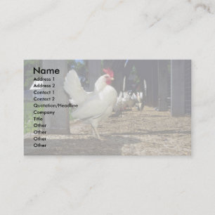 Layers (Hens And Roosters) Business Card