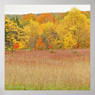 "LAYERS OF COLOR/FALL LEAVES" canvas gloss print