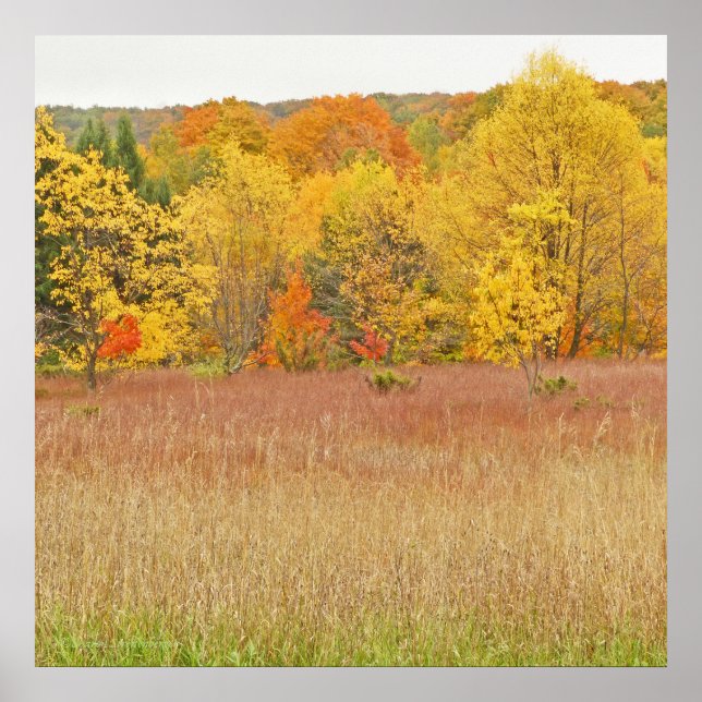"LAYERS OF COLOR/FALL LEAVES" canvas gloss print (Front)