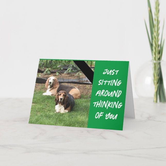 LAYING AROUND HOPING U HAVE A HAPPY BIRTHDAY CARD (Front)