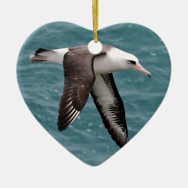 Laysan Albatross Ceramic Tree Decoration (Front)