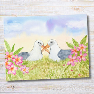 Laysan Albatross with Pink Plumeria Postcard