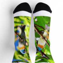 Lazuli Bunting socks