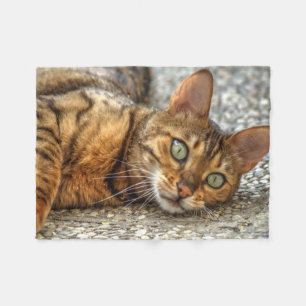 Lazy Bengal Cat Fleece Blanket