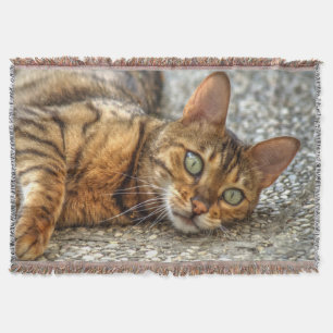 Lazy Bengal Cat Throw Blanket