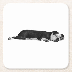 Lazy Bulldog, Neat Table Square Paper Coaster