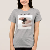 Lazy But Cute Kitten Photo Cat Lover Humour Funny