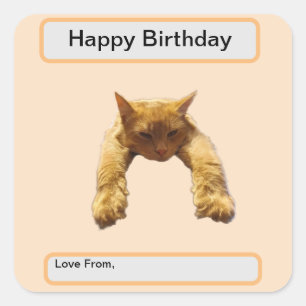 Lazy Cant Be Bothered Fluffy Ginger Cat, Birthday Square Sticker