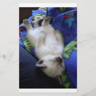 Lazy Cat