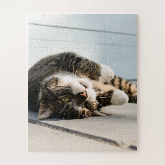 Lazy Cat Lounging on Porch Jigsaw Puzzle (Vertical)