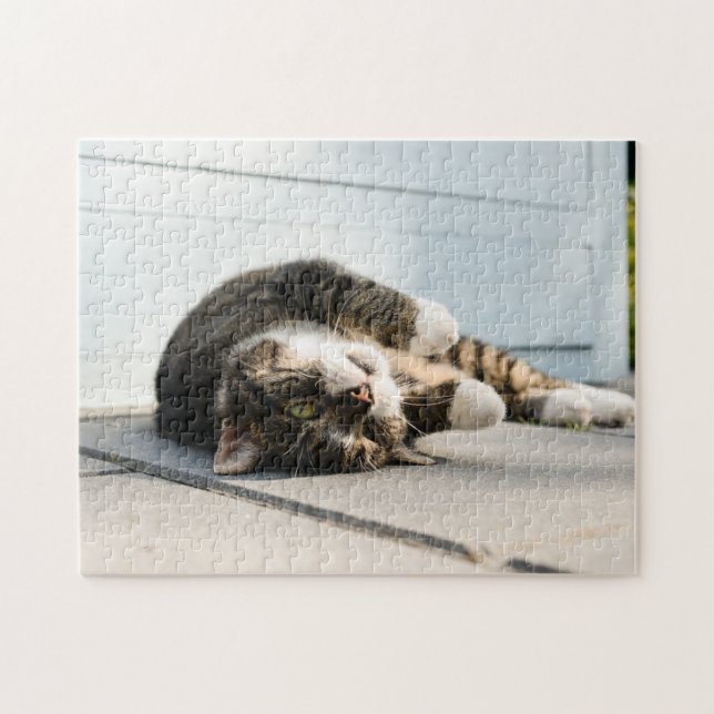 Lazy Cat Lounging on Porch Jigsaw Puzzle (Horizontal)